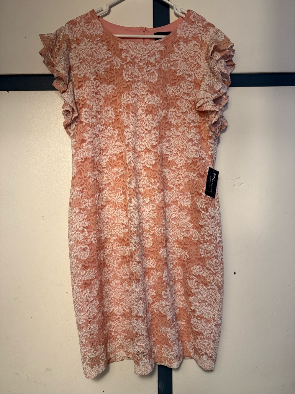 RN Studio‎ Pink Lace Dress with Ruffle Sleeves Women's 18 Blush/Ivory New